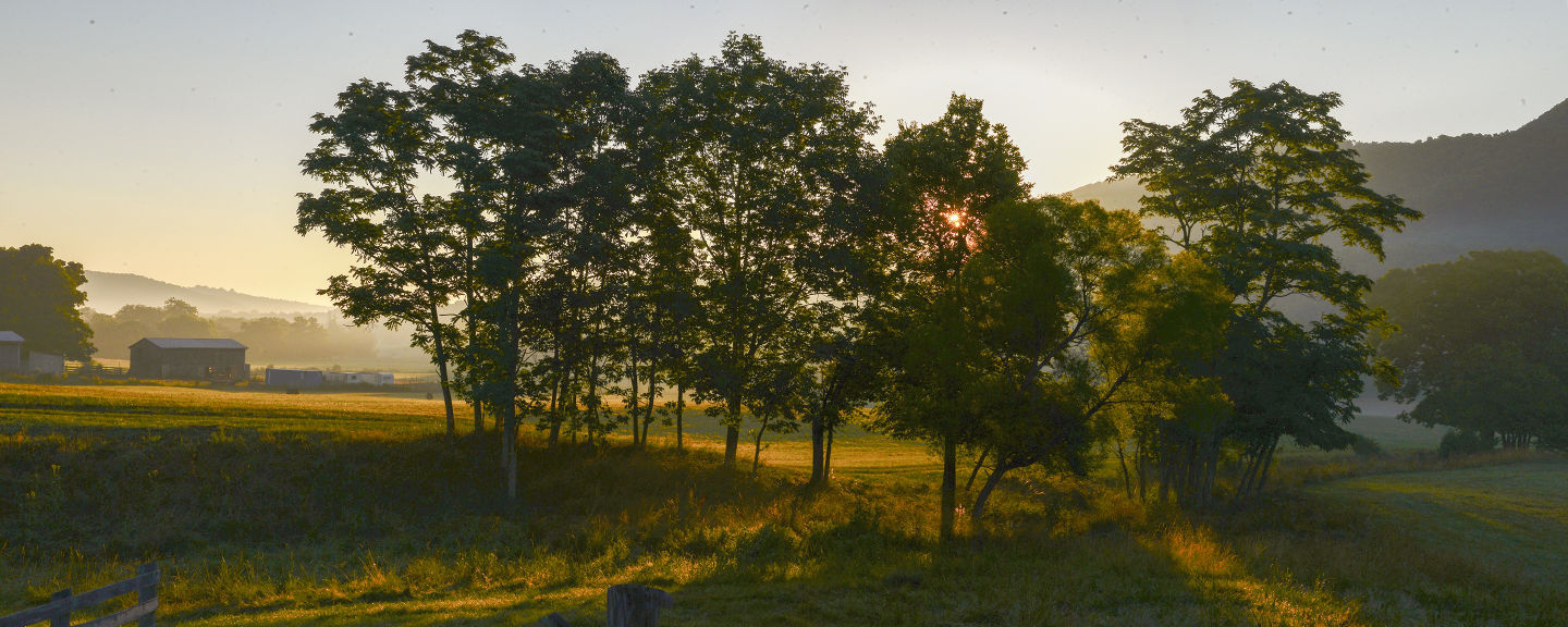 Scenic Virginia: March 5, 2016
